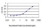 ASAHL Antibody (monoclonal) (M01)